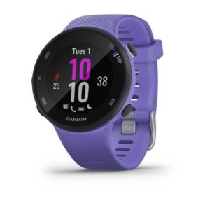 купить Спортивные часы Garmin Forerunner 45 GPS s iris в интернет-магазине Sports Gadgets
