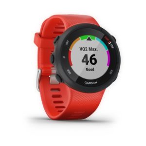 купить Спортивные часы Garmin Forerunner 45 GPS L Red в интернет-магазине Sports Gadgets