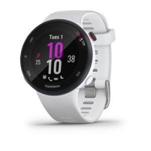 купить Спортивные часы Garmin Forerunner 45 GPS s white в интернет-магазине Sports Gadgets
